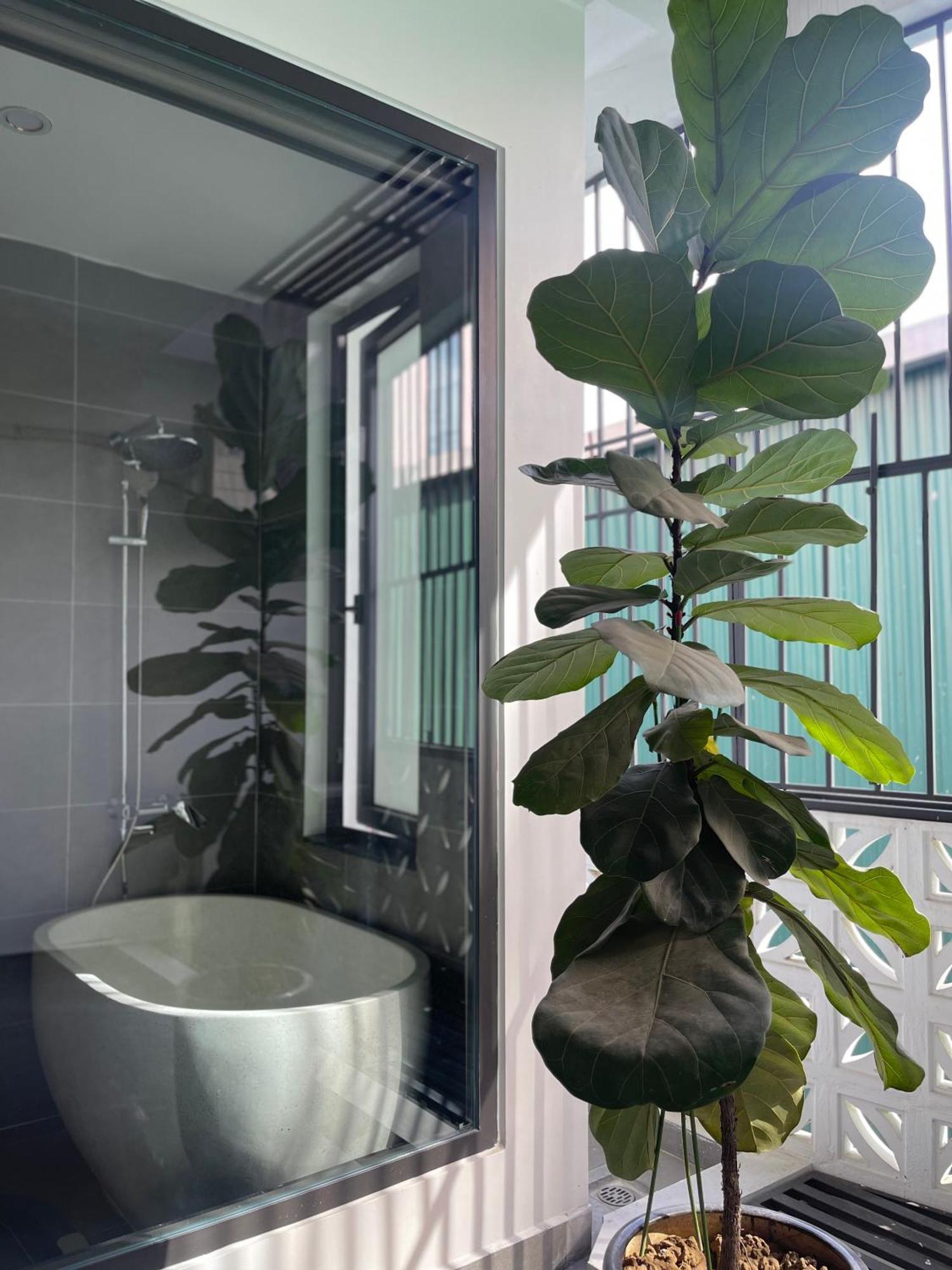 Alala Homestay- Tuyen Quang City Center- Trung Tam Thanh Pho Tuyen Quang Kültér fotó